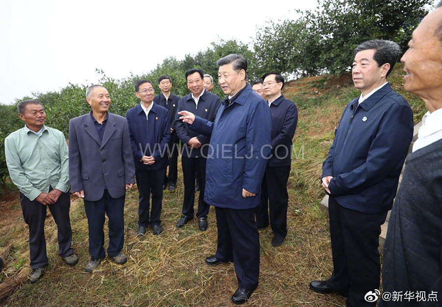 光山油茶籽榨油設備,山茶籽油榨油機廠家(圖3) 光山油茶籽榨油設備,山茶籽油榨油機廠家(圖3)