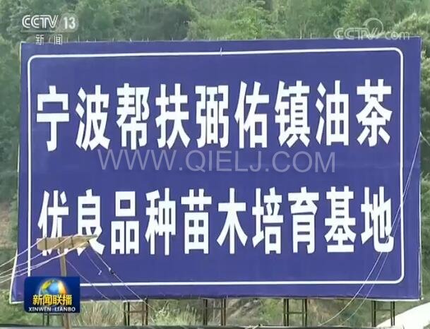 新聞聯(lián)播決戰(zhàn)決勝脫貧攻堅之油茶樹串起的產(chǎn)業(yè)鏈(圖2) 新聞聯(lián)播決戰(zhàn)決勝脫貧攻堅之油茶樹串起的產(chǎn)業(yè)鏈(圖2)