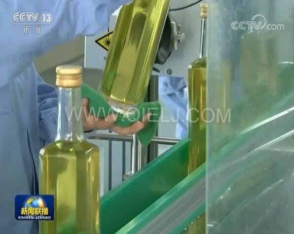 新聞聯(lián)播決戰(zhàn)決勝脫貧攻堅之油茶樹串起的產(chǎn)業(yè)鏈(圖3) 新聞聯(lián)播決戰(zhàn)決勝脫貧攻堅之油茶樹串起的產(chǎn)業(yè)鏈(圖3)