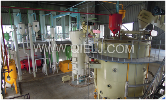 新聞聯(lián)播決戰(zhàn)決勝脫貧攻堅之油茶樹串起的產(chǎn)業(yè)鏈(圖9) 新聞聯(lián)播決戰(zhàn)決勝脫貧攻堅之油茶樹串起的產(chǎn)業(yè)鏈(圖9)