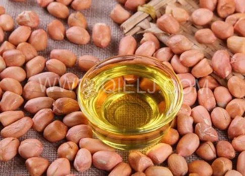 投資建花生油加工廠，選擇企鵝糧油機械設備事半功倍(圖1)