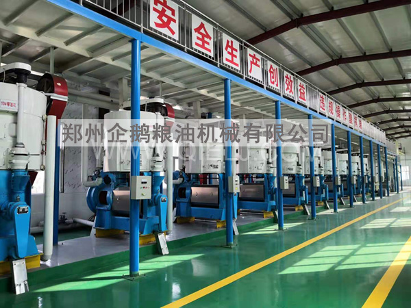 油脂精煉成套設備,企鵝糧油機械 品質優良+技術成熟(圖1) 油脂精煉成套設備,企鵝糧油機械 品質優良+技術成熟(圖1)
