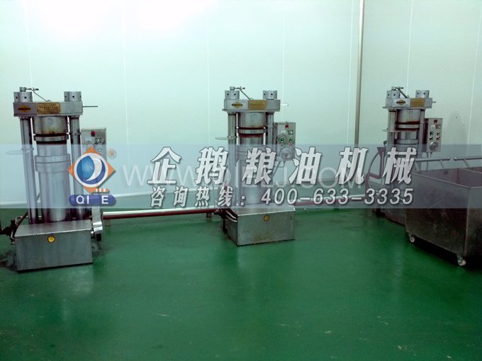 芝麻油壓榨處理設備，企鵝牌液壓榨油機勇于創新生產效率高(圖4)